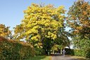 BUITEN BEELD Foto: 188867