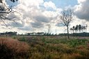 BUITEN BEELD Foto: 188973