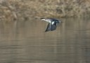BUITEN BEELD Foto: 18010