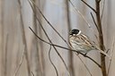 BUITEN BEELD Foto: 18042