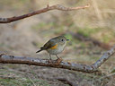 BUITEN BEELD Foto: 18106