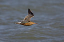 BUITEN BEELD Foto: 18120