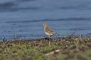BUITEN BEELD Foto: 18134