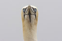 BUITEN BEELD Foto: 18159