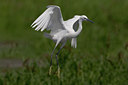 BUITEN BEELD Foto: 18415