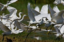 BUITEN BEELD Foto: 18444
