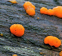 BUITEN BEELD Foto: 18477