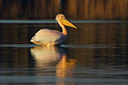 BUITEN BEELD Foto: 18524