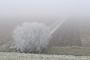 BUITEN BEELD Foto: 18540