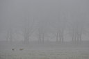 BUITEN BEELD Foto: 18568