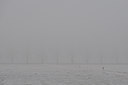 BUITEN BEELD Foto: 18571