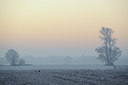 BUITEN BEELD Foto: 18572