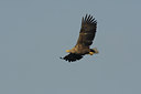 BUITEN BEELD Foto: 18625