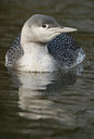 BUITEN BEELD Foto: 18631
