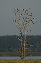 BUITEN BEELD Foto: 18632