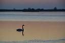 BUITEN BEELD Foto: 18633