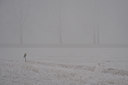 BUITEN BEELD Foto: 18637