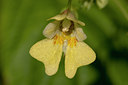 BUITEN BEELD Foto: 18724