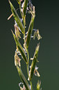 BUITEN BEELD Foto: 18726