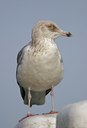 BUITEN BEELD Foto: 18745