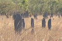 BUITEN BEELD Foto: 18764