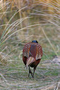 BUITEN BEELD Foto: 18815