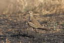 BUITEN BEELD Foto: 18838