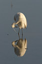 BUITEN BEELD Foto: 18923