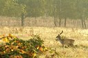 BUITEN BEELD Foto: 189308