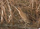 BUITEN BEELD Foto: 189358