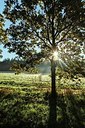 BUITEN BEELD Foto: 189380