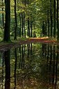 BUITEN BEELD Foto: 189381