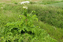 BUITEN BEELD Foto: 189427