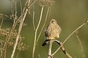 BUITEN BEELD Foto: 189460