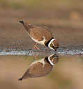 BUITEN BEELD Foto: 189553