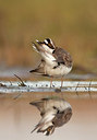 BUITEN BEELD Foto: 189554