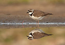 BUITEN BEELD Foto: 189555