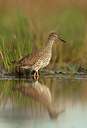 BUITEN BEELD Foto: 189733