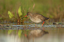 BUITEN BEELD Foto: 189735
