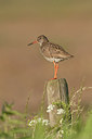 BUITEN BEELD Foto: 189739