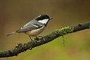 BUITEN BEELD Foto: 189760