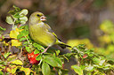 BUITEN BEELD Foto: 189767