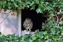 BUITEN BEELD Foto: 189822