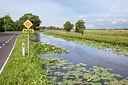 BUITEN BEELD Foto: 189827