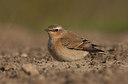 BUITEN BEELD Foto: 190017