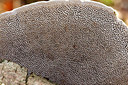 BUITEN BEELD Foto: 190133