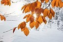 BUITEN BEELD Foto: 190202