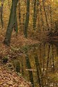 BUITEN BEELD Foto: 190242