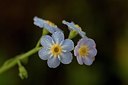 BUITEN BEELD Foto: 190552