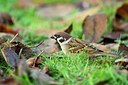 BUITEN BEELD Foto: 190581